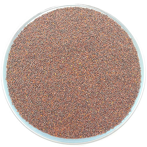 Mustard Seed Small சிறியகடுகு 100G