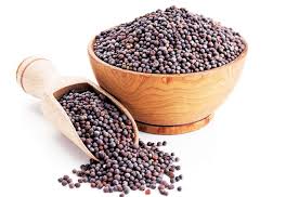 Mustard Seed (பெரிய கடுகு)